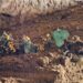 Descoperiri arheologice unice în județul Constanța: podoabe cu o vechime de 2.300 de ani