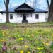 Înscrieri la Atelierele de interpretare a textului CreativLit, ediția a VII-a, la Ipotești