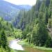 Școlile mai pot cere bani pentru programul Săptămâna Verde până la finalul anului 2025