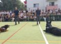 Copiii din Tabăra ARC de la Agafton au fost fascinați de spectacolul oferit de câinii Jandarmeriei Botoșani