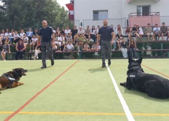 Copiii din Tabăra ARC de la Agafton au fost fascinați de spectacolul oferit de câinii Jandarmeriei Botoșani