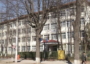 Liceul de Artă „Ştefan Luchian” Botoşani pace înscrieri la clasa pregătitoare