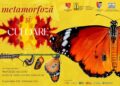Muzeul de Științele Naturii Dorohoi organizează expoziția temporară „Metamorfoză și culoare”