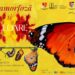 Muzeul de Științele Naturii Dorohoi organizează expoziția temporară „Metamorfoză și culoare”