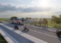 Consiliul Județean Botoșani a predat amplasamentul pentru modernizarea drumului județean DJ 282 – Loturile 2 și 3