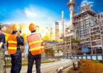 Locurile de muncă vacante la nivelul județului Botoșani – 29.09.2025