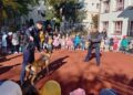 Jandarmii botoșăneni, din nou la Șotron