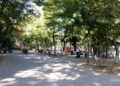 Două parcuri din municipiul Botoșani vor fi complet reabilitate și modernizate, cu sprijinul finanțărilor europene