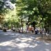 Două parcuri din municipiul Botoșani vor fi complet reabilitate și modernizate, cu sprijinul finanțărilor europene