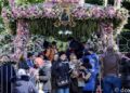 Moaștele Sfântului Grigorie Palama au sosit la Iași: „Este pentru prima dată în istoria Bisericii și a Sfântului Grigorie Palama când iese din Tesalonic și vine să binecuvinteze Iașul”