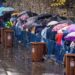 Peste 24.500 de persoane s-au închinat la moaștele Sfintei Parascheva de la Iași în prima zi de pelerinaj