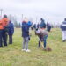 „Plantarea la Distanță”. Proiect organizat de Palatul Copiilor Botoșani