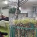 Polițiștii botoșăneni donează viață