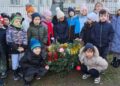 „Pădurea de Crăciun” – un proiect care a unit comunitatea botoșăneană