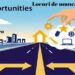 Locurile de muncă vacante la nivelul județului Botoșani – 15.12.2025