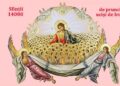 Biserica Ortodoxă Română a reacționat după ce Bruxelles-ul a votat pentru dreptul la avort