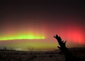 Aurora boreală a făcut spectacol pe cerul României, în noaptea de 19 spre 20 ianuarie 2026