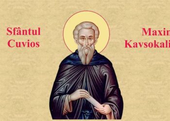 SINAXAR ORTODOX 2026: Sfântul Cuvios Maxim Kavsokalivitul