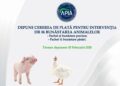 APIA primește cereri de plată pentru Intervenția DR-06 – Bunăstarea animalelor din cadrul Planului Strategic PAC 2023—2027, campania 2026