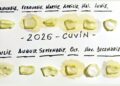 Tradiții populare: Calendarul foilor de ceapă