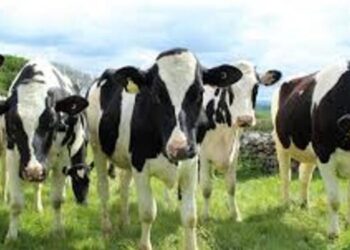 Fermierii români pot organiza stagii de practică pentru elevii de la liceele agricole din țară