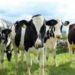 Fermierii români pot organiza stagii de practică pentru elevii de la liceele agricole din țară