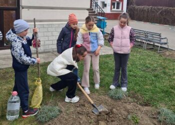 Elevii de la Palatul Copiilor Botoșani, implicați într-o activitate practică de protejare a mediului