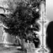 Doliu în rândul clerului: Preotul Clement Popa a trecut la cele veșnice