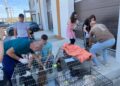 Cea mai mare campanie de sterilizări gratuite din Flămânzi: Două zile de intervenții pentru combaterea câinilor fără stăpân. Programări