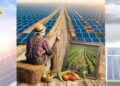 Mitul panourilor fotovoltaice și încălzirea globală: Adevărul despre impactul lor