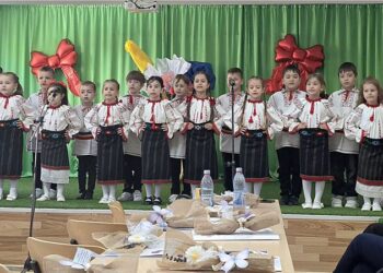 Activitatea Cercului pedagogic al directorilor și responsabililor de unități de învățământ preșcolar din județul Botoșani