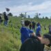  „Tinerii sădesc viitorul”, ediția a VI-a. Proiect de împădurire în Botoșani