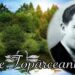 7 mai 1937 – A încetat din viață poetul George Topârceanu