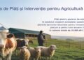 Sprijin financiar de peste 15,68 milioane lei pentru crescătorii de animale