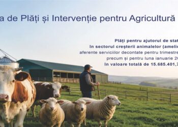 Sprijin financiar de peste 15,68 milioane lei pentru crescătorii de animale