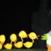 „Rățușca cea urâtă”. Spectacol la Teatrul „Vasilache” Botoșani