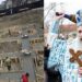 Punerea pietrei de temelie la o biserică  din Piatra-Neamț. Slujbă oficiată de Înaltpreasfințitul Mitropolit Teofan