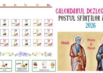 Sensul postirii: Cuvânt la începutul Postului Sfinţilor Apostoli