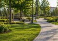 Municipiul Dorohoi  va moderniza Parcul Brazi și Grădina de Vară printr-un proiect de peste 17 milioane de lei