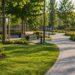 Municipiul Dorohoi va moderniza Parcul Brazi și Grădina de Vară printr-un proiect de peste 17 milioane de lei
