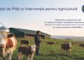 Peste 6 milioane de lei ajung la crescătorii de animale prin APIA