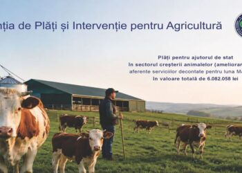 Peste 6 milioane de lei ajung la crescătorii de animale prin APIA