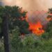 Apel umanitar pentru o familie din Agafton: Casa ridicată în 15 ani de muncă, mistuită de incendiu
