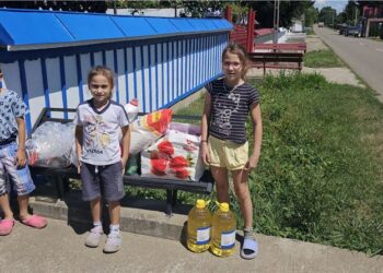 40 de copii din Botoșani, Iași și Neamț au primit ajutoare prin Pro Vita Iași