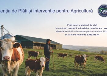 Sprijin financiar de peste 6 milioane lei pentru crescătorii de animale