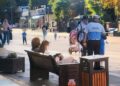 Campanie de informare demarată de structurile de ordine publică din cadrul Poliției Locale a municipiului Botoșani