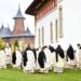 Hram la Mănăstirea Popăuți. Credincioșii sunt așteptați la slujbele dedicate Acoperământului Maicii Domnului