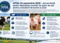 APIA: 24 septembrie 2026 – termen-limită pentru depunerea cererilor de ajutor de stat pentru crescătorii de bovine și suine