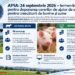 APIA: 24 septembrie 2026 – termen-limită pentru depunerea cererilor de ajutor de stat pentru crescătorii de bovine și suine