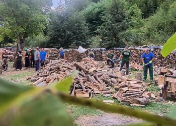 Forță și îndemânare la concursul de tăiat lemne de la Vorona